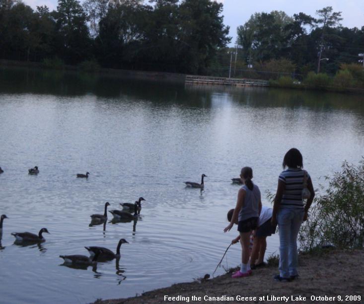 Freedom_Park_Wildlife-Feeding_20091009.jpg