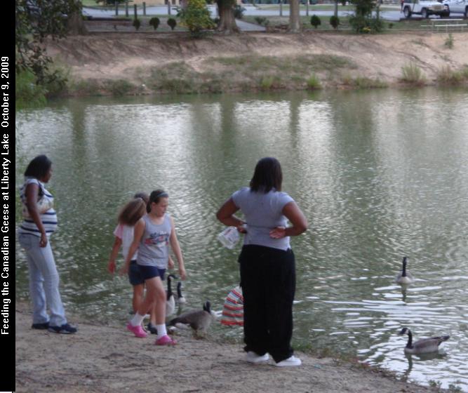 Wildlife-Feeding_20091009b.jpg